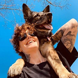 Ein unschlagbares Team- Tier-Ambulanz Schweiz