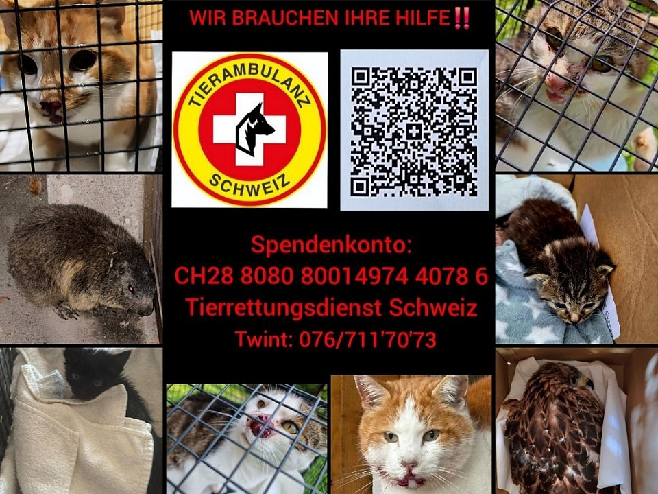 Tierambulanz Schweiz
